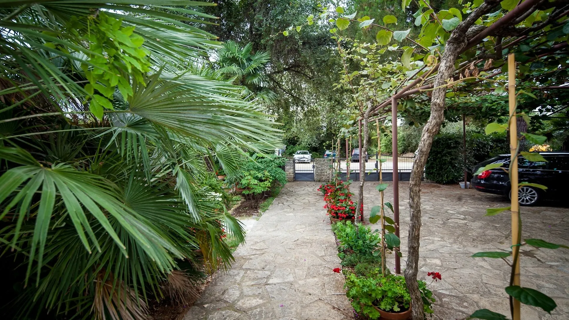 Apartments Maller Rovinj 0*,