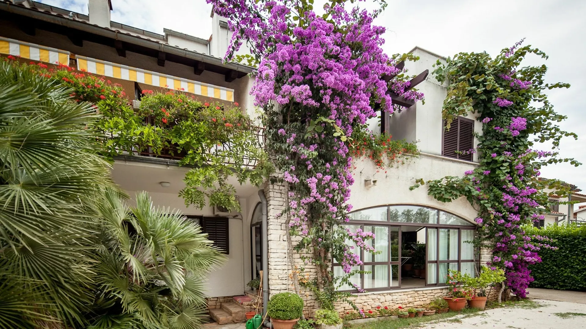 Apartments Maller Rovinj