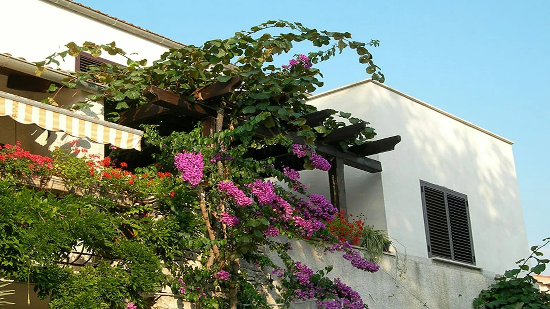 Apartments Maller Rovinj